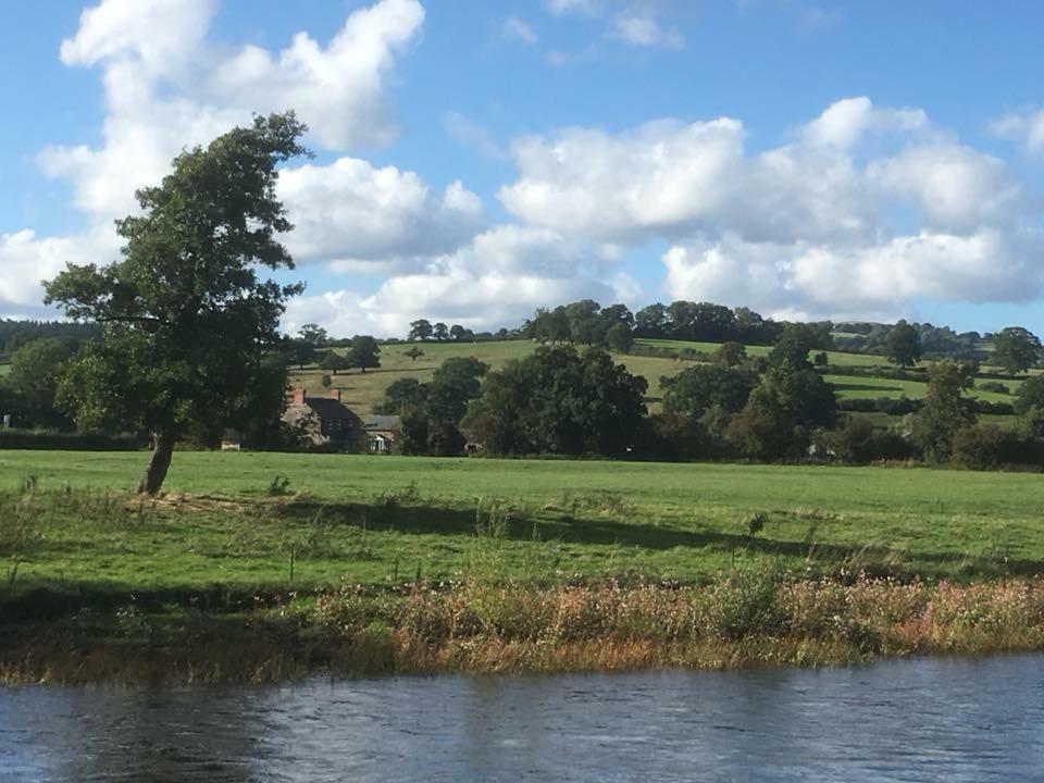 Maesnewydd Cottage Welshpool Eksteriør billede